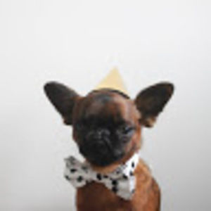 Meet your Posher, Robert